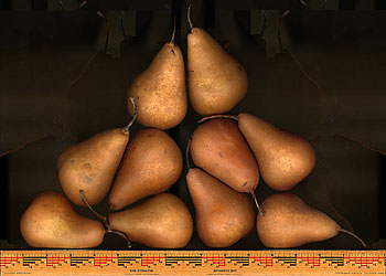 Ten Pears, a scanogram